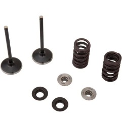 Inlet valve and spring kit MOOSE for YAMAHA WR 250, YZ 250 from 2020 to 2026