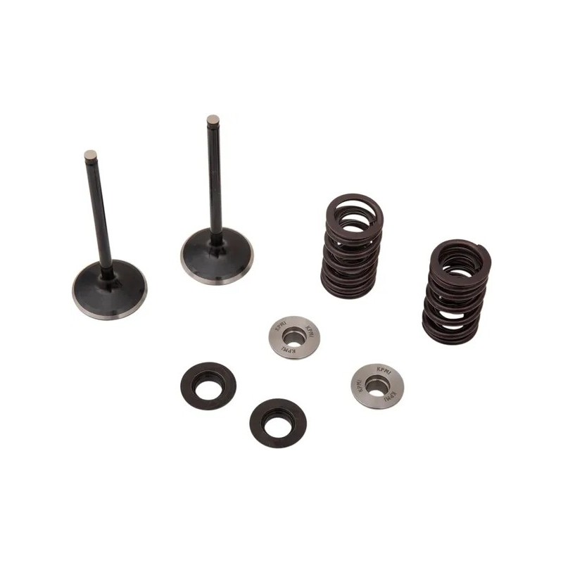 Inlet valve and spring kit MOOSE for YAMAHA WR 250, YZ 250 from 2020 to 2026