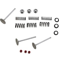 MOOSE -Einlassventil- und Federsatz für YAMAHA WR 450, YFZ 450, YZ 450 von 2003 bis 2018 – Art.-Nr. M80-80950