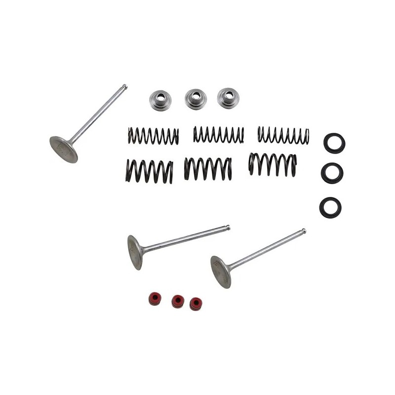 Kit soupape d’admission et ressort MOOSE pour YAMAHA WR 450, YFZ 450, YZ 450 de 2003 à 2018