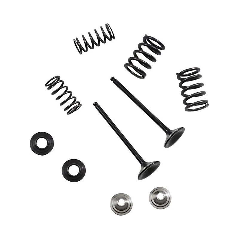 Kit soupape d'échappement et ressort MOOSE pour KTM, YAMAHA SX-F 450, XC-F 450, WR 250, YZ 250 de 2010 à 2023