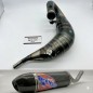 Muffler SCALVINI complete with full carbon silencer for KTM EXC TPI, HUSQVARNA TE FI 150 from 2024