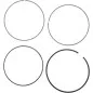 Piston ring set MOOSE Ø 95.00 mm for HUSQVARNA, KTM FC 450, SX-F 450 from 2016 Piston ring set MOOSE Ø 95.00 mm for HUSQVARNA, KTM FC 450, SX-F 450 from 2016