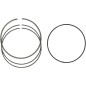 Piston ring set MOOSE for KAWASAKI, SUZUKI, YAMAHA KX 250, RM-Z 250, RM-Z 450, WR 250, YZ 250 from 2005 to 2018
