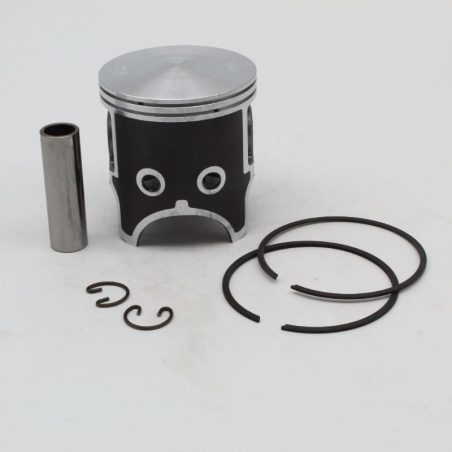 Piston VERTEX for FANTIC 250