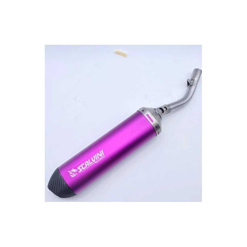 Silencieux d'échappement SCALVINI Carbon Look Violet BETA RR RACING 125 de 2019 à 2024