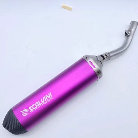 Silencieux d'échappement SCALVINI Carbon Look Violet BETA RR RACING 125 de 2019 à 2024
