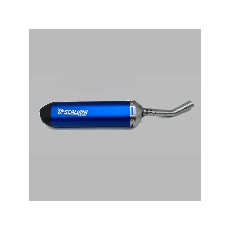 copy of Exhaust silencer SCALVINI Carbon Look for BETA RR RACING 200 from 2020 to 2025