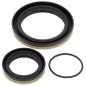 copy of Crankshaft spinnaker seal kit ALL BALLS for FANTIC XX, YAMAHA WRF, YZ 250 from 2001 to 2026