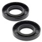copy of Crankshaft spinnaker seal kit ALL BALLS for FANTIC XX, YAMAHA WRF, YZ 250 from 2001 to 2026