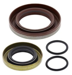 Kit de juntas del cigüeñal ALL BALLS para FANTIC XX, YAMAHA WRF, YZ 250 de 2001 a 2026