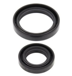Kit de juntas del cigüeñal ALL BALLS para FANTIC XX, YAMAHA WRF, YZ 250 de 2001 a 2026