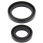 copia de Kit de juntas del cigüeñal ALL BALLS para FANTIC XX, YAMAHA WRF, YZ 250 de 2001 a 2026