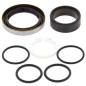 copy of ALL BALLS reconditioning kit for GAS GAS MC, HUSQVARNA TC, KTM SX 65 from 2009 to 2025 copy of ALL BALLS reconditioning kit for GAS GAS MC, HUSQVARNA TC, KTM SX 65 from 2009 to 2025