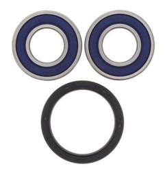 Kit rodamientos rueda trasera ALL BALLS para GAS GAS MC, HUSQVARNA TC, KAWASAKI KDX, KX, KTM SX 60, 65, 125, 250, 500 desde 1977