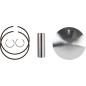 PISTON KIT STD WOSSNER pour HONDA CR 250 de 1986 à 1996
