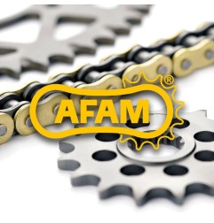 Kit de cadena AFAM o 420R1 12/51 estándar - corona estándar para motocross