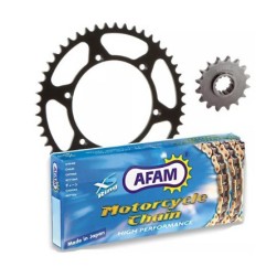 Kit chaîne AFAM 428R1 14/50 standard - couronne standard pour BETA RE 125 de 2008 à 2009