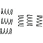 Resortes de embrague « EBC » para KAWASAKI, SUZUKI KE 100, KLX 110, KX 65, KX 80, DR-Z 110 y RM 65, de 1982 a 2022 Resortes de embrague « EBC » para KAWASAKI, SUZUKI KE 100, KLX 110, KX 65, KX 80, DR-Z 110 y RM 65, de 1982 a 2022