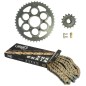 Kit de cadena « AFAM » 520XRR3 13/49 reforzada - corona ultraligera resistente al barro para BETA RR 300 de 2013 a 2016 Kit de cadena « AFAM » 520XRR3 13/49 reforzada - corona ultraligera resistente al barro para BETA RR 300 de 2013 a 2016