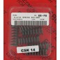 EBC Clutch Springs for SUZUKI, YAMAHA RM 80, RM 85, and YZ 125 (1991–2023) EBC Clutch Springs for SUZUKI, YAMAHA RM 80, RM 85, and YZ 125 (1991–2023)