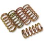 BARNETT -Kupplungsfedersatz für KAWASAKI, SUZUKI, YAMAHA KE 250, KX 125, DR-Z 250, WR 200 von 1976 bis 2015