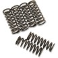 BARNETT -Kupplungsfedersatz für SUZUKI, YAMAHA LT-R 450, RM 250, RM-Z 450, RMX 450, YZ 450 von 2006 bis 2026