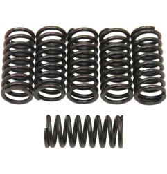 BARNETT -Kupplungsfedersatz für HONDA, YAMAHA MT 125, DT 400, IT 250, MX 250 von 1975 bis 1984 – Art.-Nr. 501-40-06039
