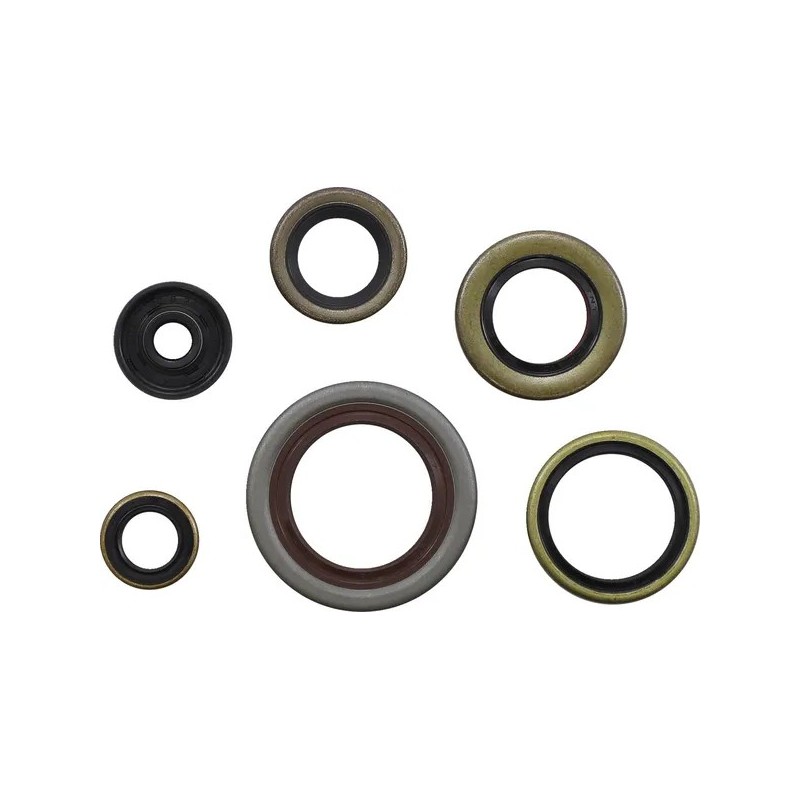 Kit de juntas spi MOOSE para GAS GAS, HUSQVARNA, KTM MC 65, TC 65, SX 65, XC 65 de 1998 a 2025