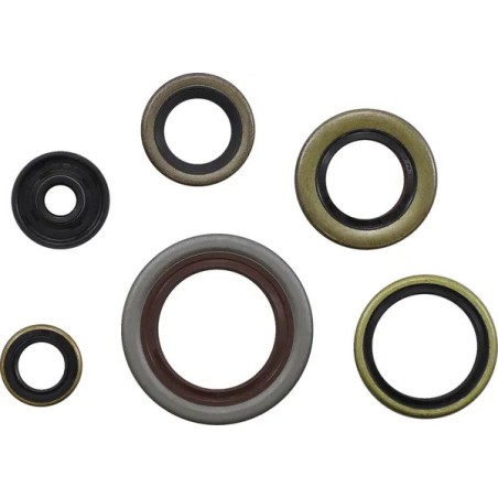 Gasket kit spi MOOSE for GAS GAS, HUSQVARNA, KTM MC 65, TC 65, SX 65, XC 65 from 1998 to 2025