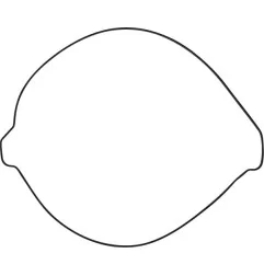 MOOSE External Clutch Seal Kit for GAS GAS, HUSQVARNA, KTM EC 250, EC 300, EC 450, and EX 250 models from 2022 to 2026 - Ref. 81