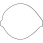 MOOSE External Clutch Seal Kit for GAS GAS, HUSQVARNA, KTM EC 250, EC 300, EC 450, and EX 250 models from 2022 to 2026 MOOSE External Clutch Seal Kit for GAS GAS, HUSQVARNA, KTM EC 250, EC 300, EC 450, and EX 250 models from 2022 to 2026