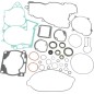 Kit complet joints et joints spi MOOSE pour HUSABERG, HUSQVARNA, KTM TE 250, EXC 250, SX 250, XC 250 de 2004 à 2016 Kit complet joints et joints spi MOOSE pour HUSABERG, HUSQVARNA, KTM TE 250, EXC 250, SX 250, XC 250 de 2004 à 2016