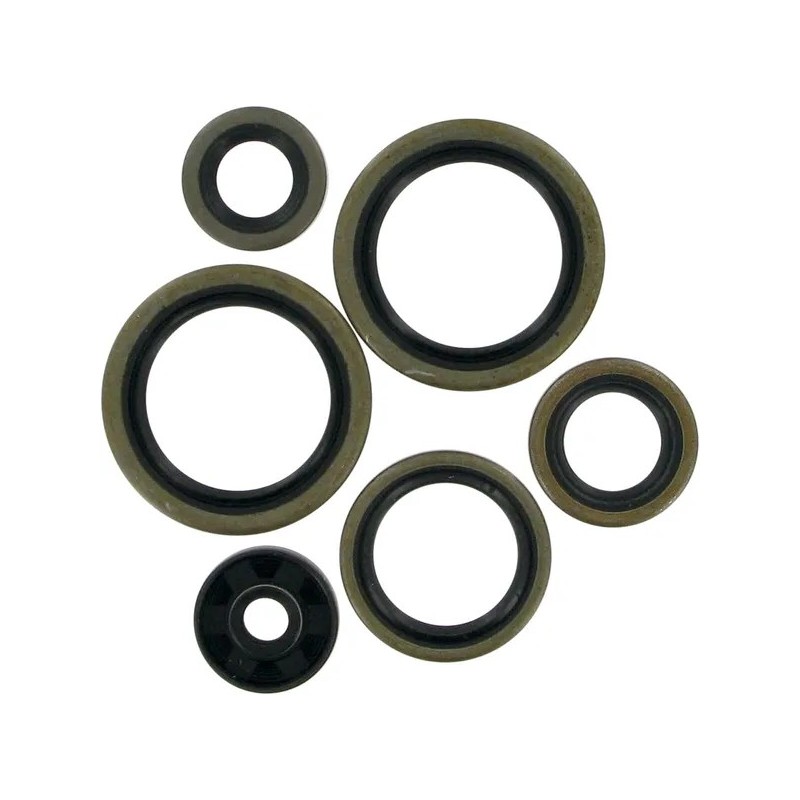 MOOSE-Motoröldichtungen für HUSQVARNA, KTM TC 125, TE 125, EXC 125, EXC 200, MXC 200, SX 125, SX 200, XC 105 von 1998 bis 2016
