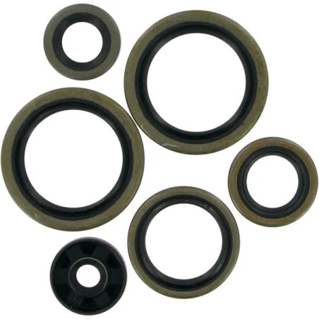 Juntas de aceite para motor MOOSE para HUSQVARNA, KTM TC 125, TE 125, EXC 125, EXC 200, MXC 200, SX 125, SX 200, XC 105 de 1