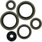 MOOSE-Motoröldichtungen für HUSQVARNA, KTM TC 125, TE 125, EXC 125, EXC 200, MXC 200, SX 125, SX 200, XC 105 von 1998 bis 2016