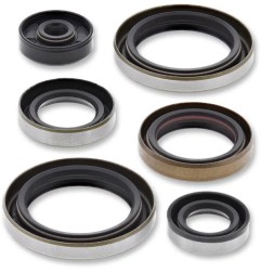 Engine oil seals MOOSE for GAS GAS, HUSQVARNA, KTM MC 125, TC 125, TE 150, EXC 150, SX 125, XC 125 from 2016 to 2024 - Ref. 8223