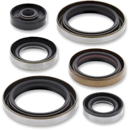 Engine oil seals MOOSE for GAS GAS, HUSQVARNA, KTM MC 125, TC 125, TE 150, EXC 150, SX 125, XC 125 from 2016 to 2024 - Ref. 8223