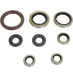 Engine oil seals MOOSE for GAS GAS, HUSQVARNA, KTM FC 250, FC 350, FE 250, SX-F 250, XC-F 250 from 2012 to 2016 - Ref. 822364MSE