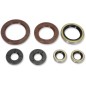 Juntas de aceite de motor « MOOSE » para GAS GAS, HUSQVARNA, KTM EC 250, EC 350, ES 350, EX 250, MC 250 y MC 350, de 2016 a 2027 Juntas de aceite de motor « MOOSE » para GAS GAS, HUSQVARNA, KTM EC 250, EC 350, ES 350, EX 250, MC 250 y MC 350, de 2016 a 2027
