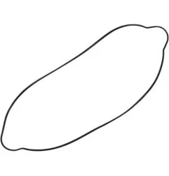 MOOSE-Kupplungsdeckeldichtung für HUSABERG, HUSQVARNA, KTM TE 250, TE 300, TC 250, TE 300, EXC 250, Baujahre 2000 bis 2018 – Ar