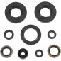 MOOSE-Motoröldichtungen für KAWASAKI, SUZUKI KX 100, KX 112, KX 80, KX 85, RM 100 von 1998 bis 2024