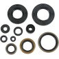 Retenes de aceite del motor MOOSE para KAWASAKI KDX 250, KX 250 de 1990 a 1994