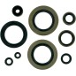 Engine oil seals MOOSE for KAWASAKI KX 500 from 1989 to 2004