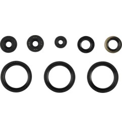 MOOSE oil seal set for KAWASAKI KX 250 from 2021 to 2024 - Ref. 822403MSE