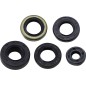 Gasket kit spi MOOSE for KAWASAKI KX 450 from 2019 to 2024