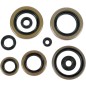 Retenes de aceite del motor MOOSE para KAWASAKI, SUZUKI KDX 200 de 1989 a 1994