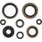Engine oil seals MOOSE for KAWASAKI KDX 200, KDX 220 from 1995 to 2006
