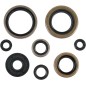 MOOSE-Motordichtungen für KAWASAKI KDX 200, KDX 220 von 1995 bis 2006