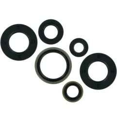 Joints d’huile moteur MOOSE pour KTM SX 65, XC 65 de 1998 à 2010 - Réf. 822185MSE